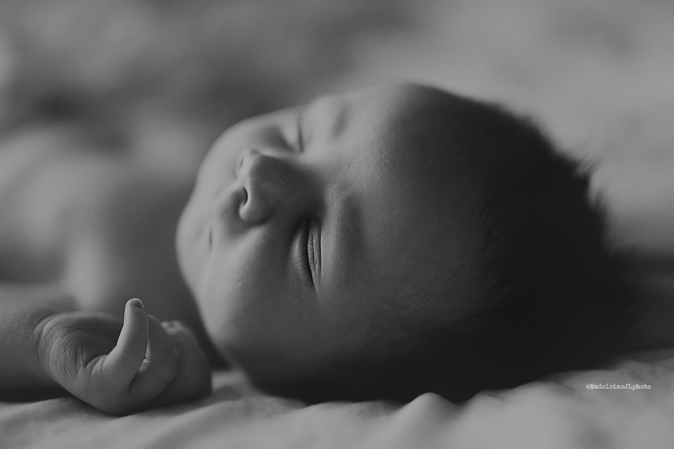 Fine art newborn photographer Orange County, southern California